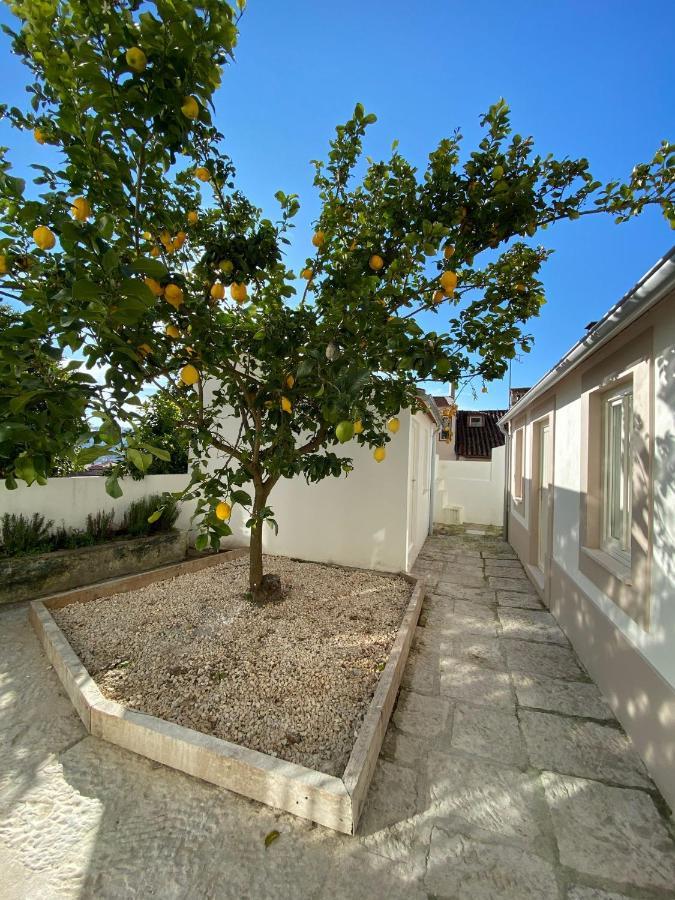 Sé Velha studios Coïmbre Extérieur photo